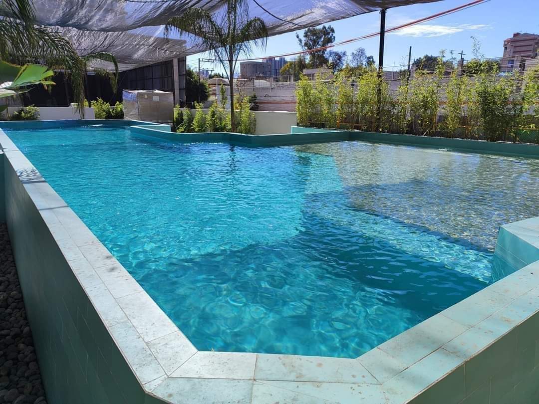 WhatsApp-Image-2024-07-17-at-3.34.58-PM-4 Lofts en renta en San Pedro de los Pinos